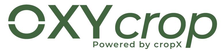 logo02